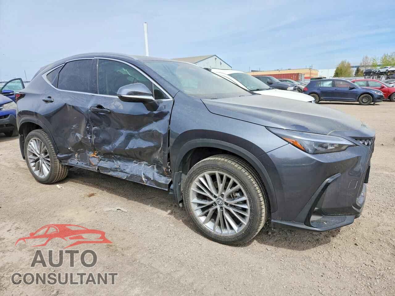 LEXUS UNKNOWN 2026 - 2T2GGCEZ8TC096887