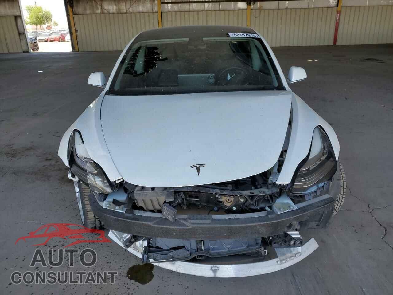 TESLA MODEL 3 2019 - 5YJ3E1EB2KF512667