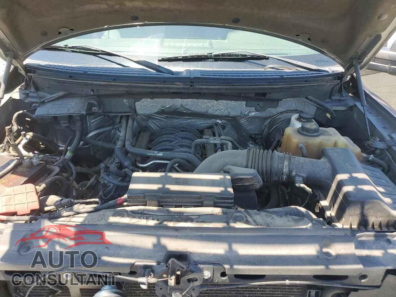FORD F150 2011 - 1FTFW1CF9BFC84498