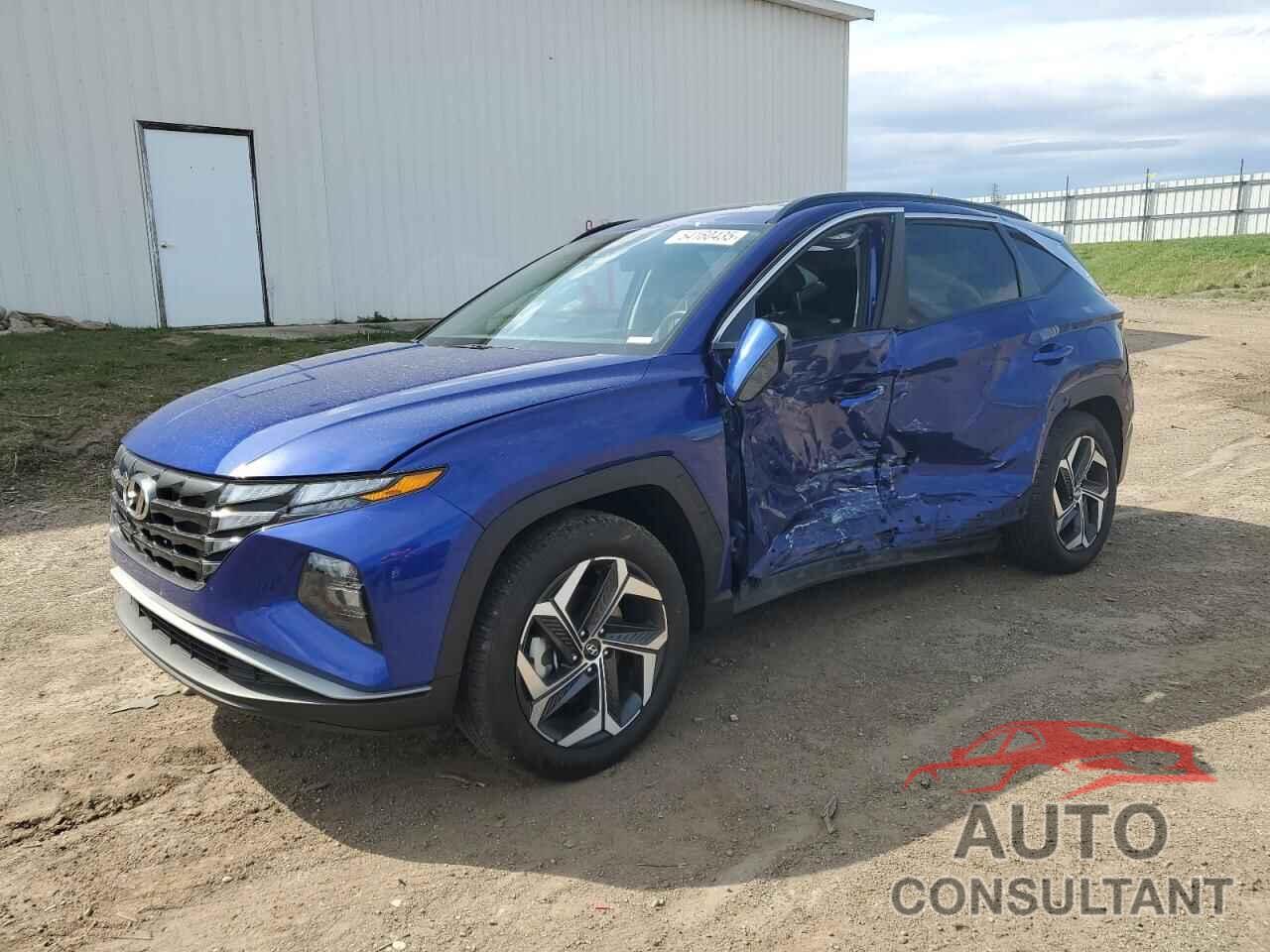 HYUNDAI TUCSON 2024 - 5NMJF3DE1RH295293