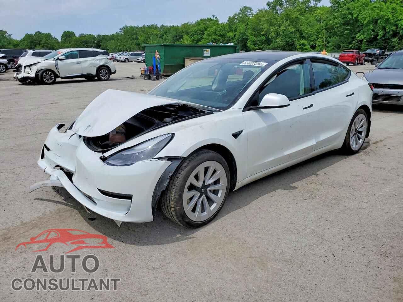 TESLA MODEL 3 2023 - 5YJ3E1EA1PF496010