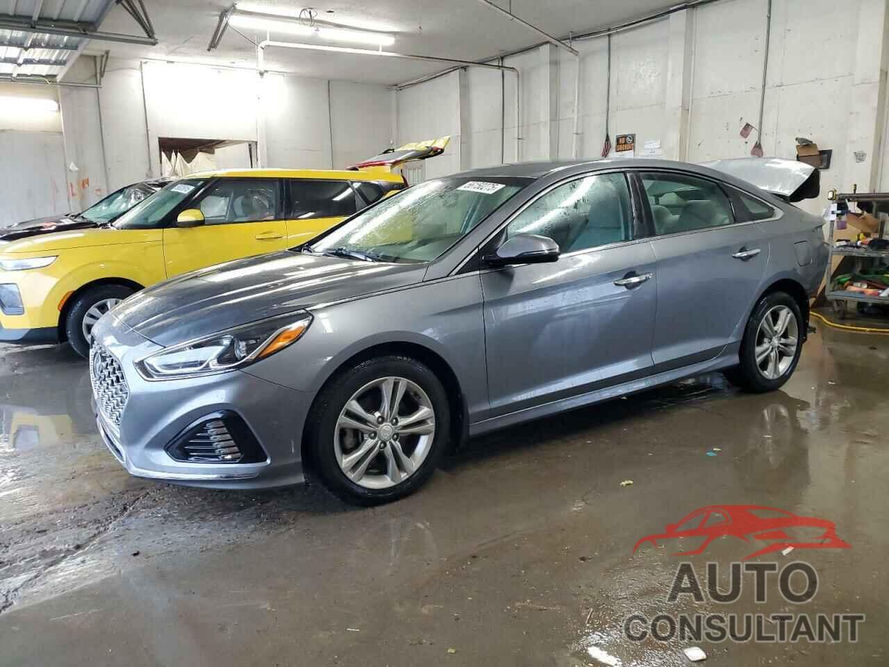 HYUNDAI SONATA 2019 - 5NPE34AF1KH769734