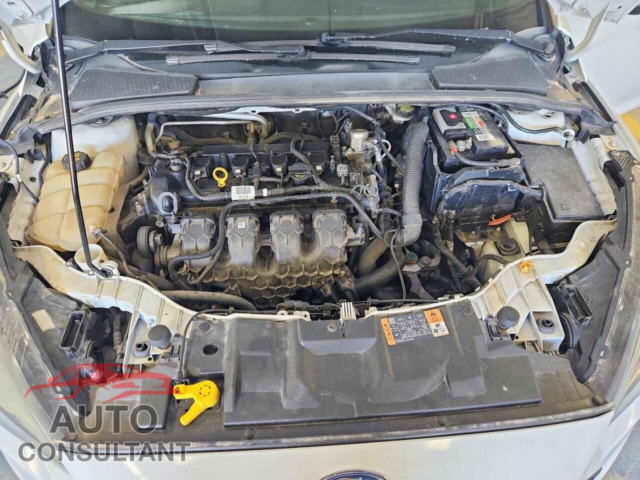 FORD FOCUS 2016 - 1FADP3L90GL355578