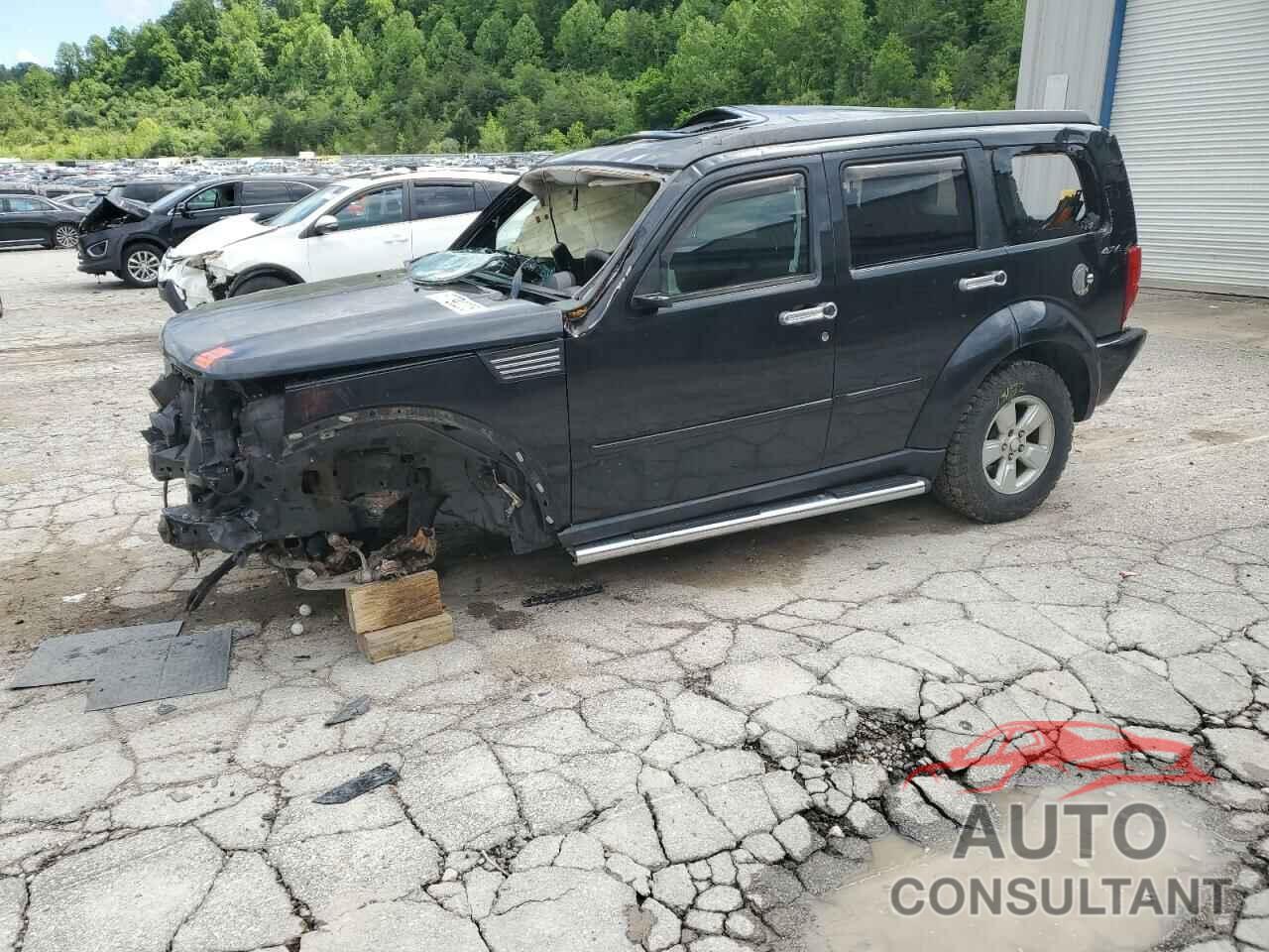 DODGE NITRO 2011 - 1D4PU4GXXBW501574