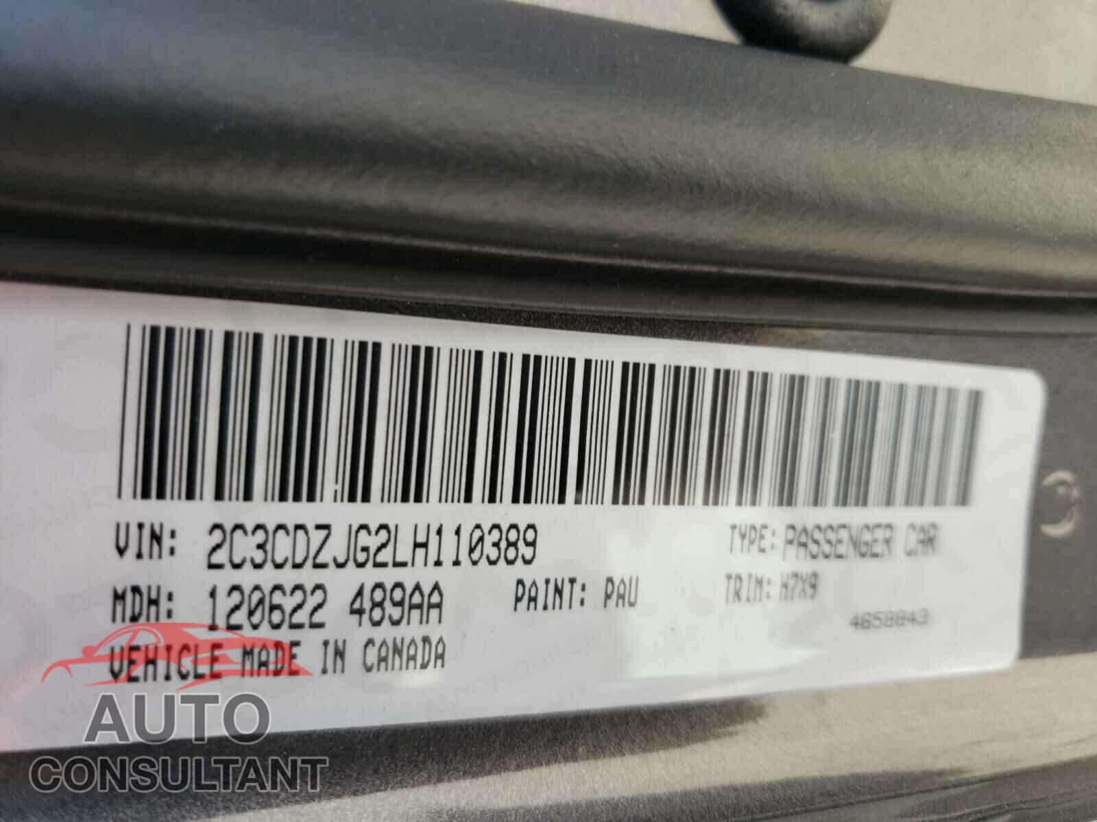 DODGE CHALLENGER 2020 - 2C3CDZJG2LH110389