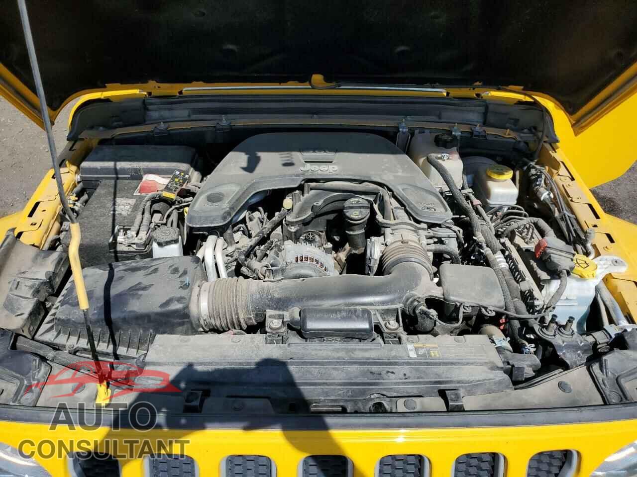 JEEP WRANGLER 2019 - 1C4HJXEG1KW603473