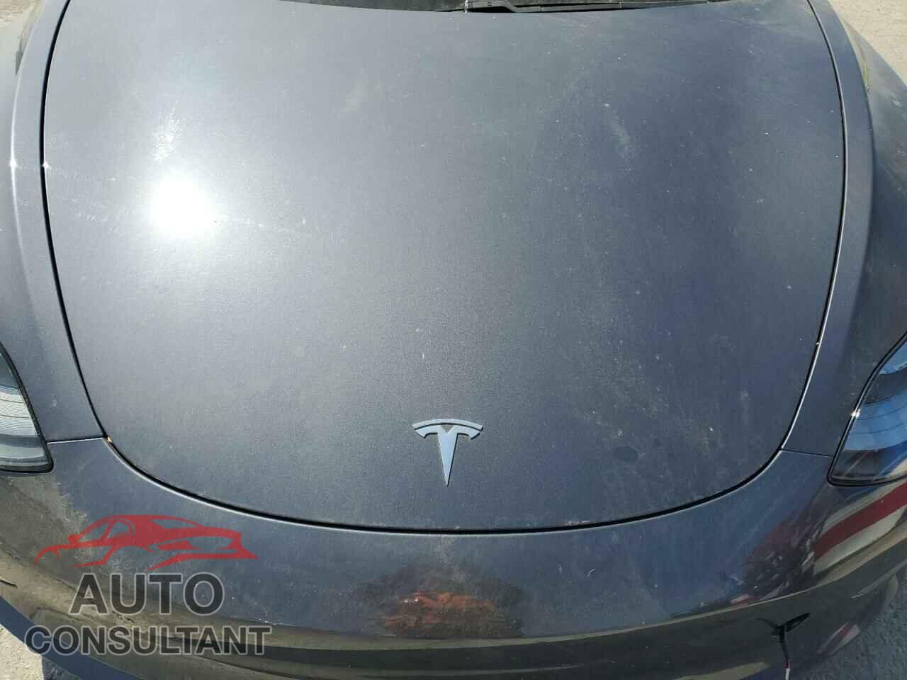 TESLA MODEL 3 2021 - 5YJ3E1EA2MF065803
