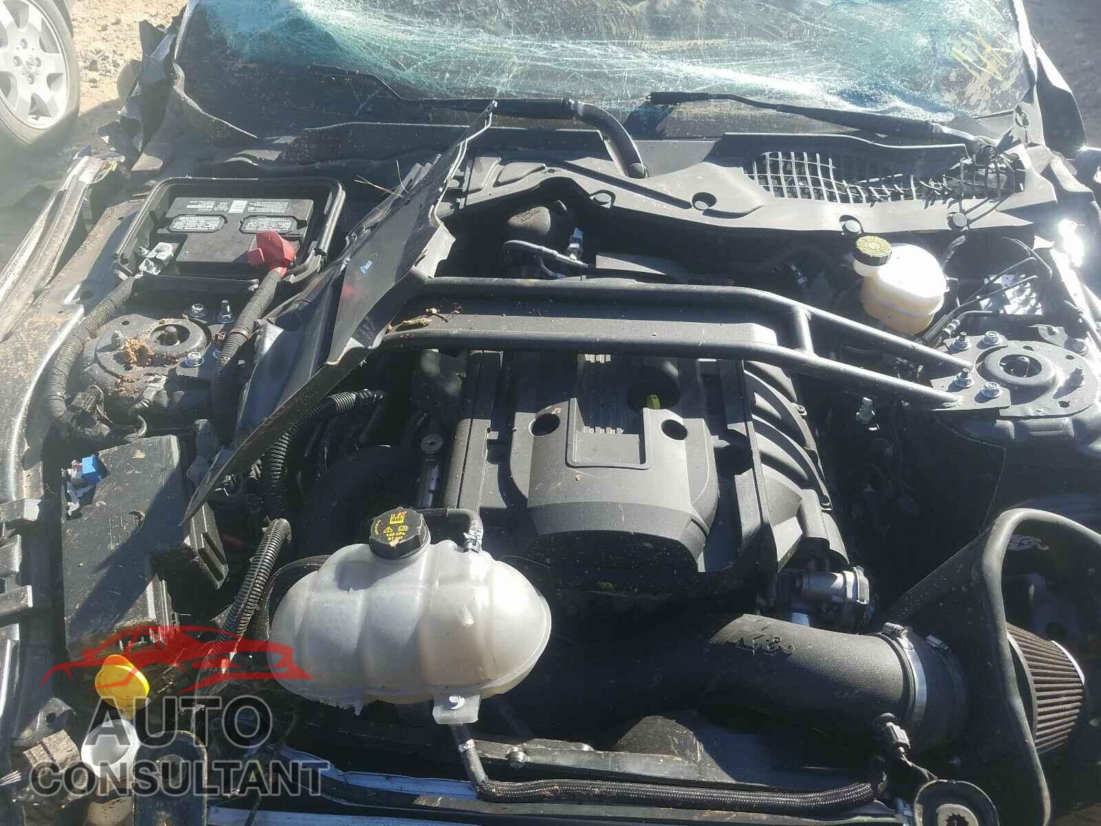 FORD MUSTANG 2019 - 1FA6P8TH8K5115060
