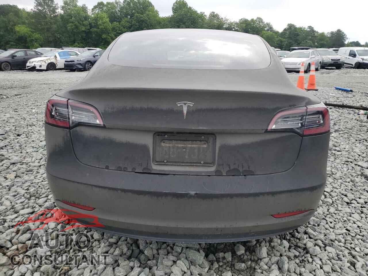 TESLA MODEL 3 2019 - 5YJ3E1EA3KF435363