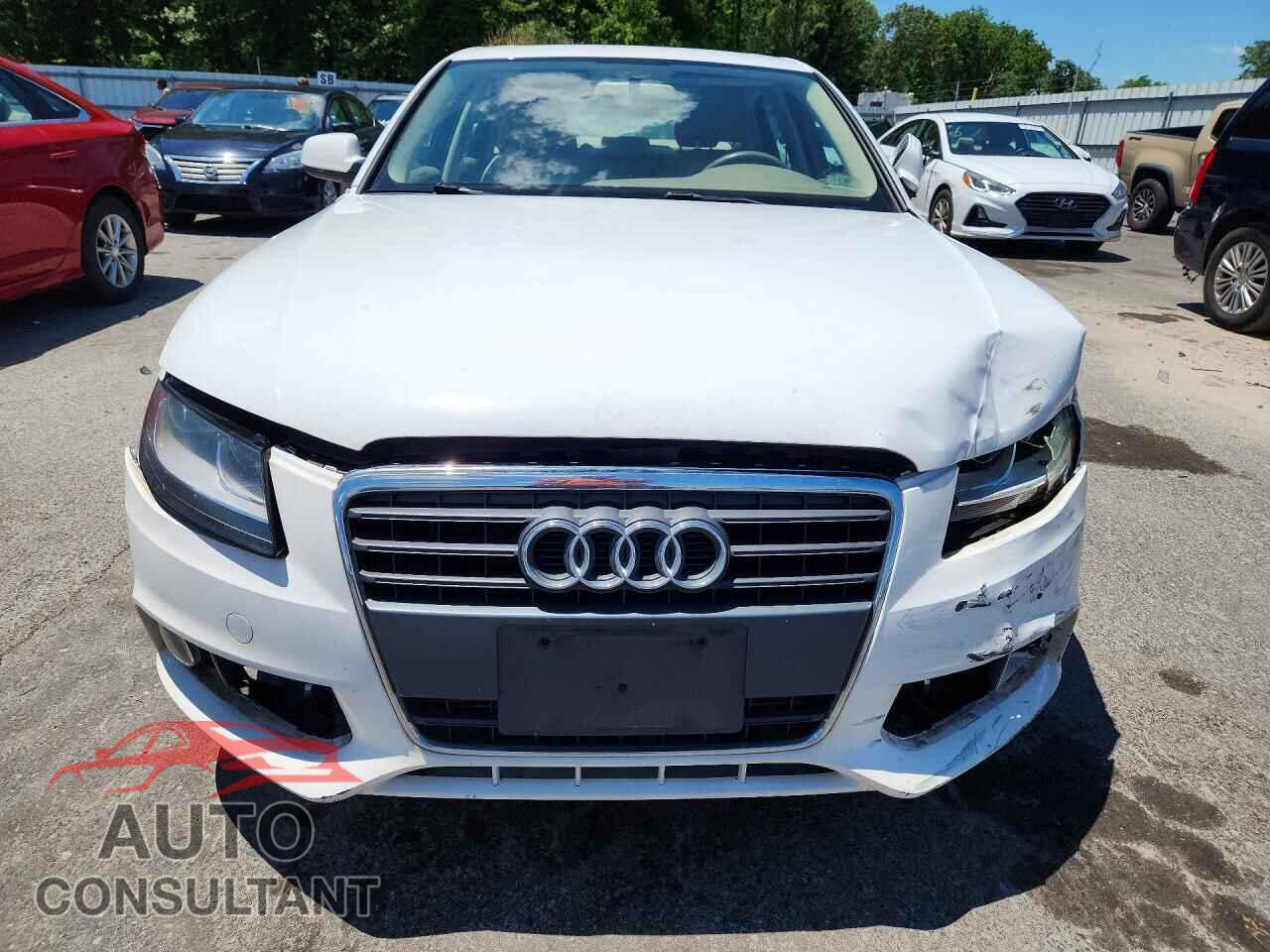 AUDI A4 2010 - WAUBFAFL2AN055629