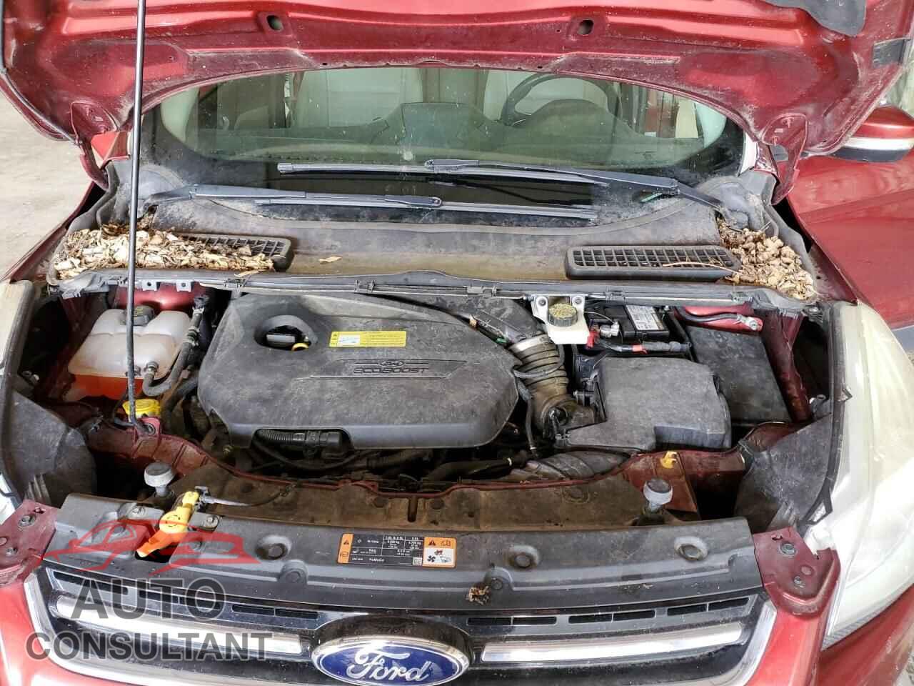 FORD ESCAPE 2014 - 1FMCU9JX4EUC10856