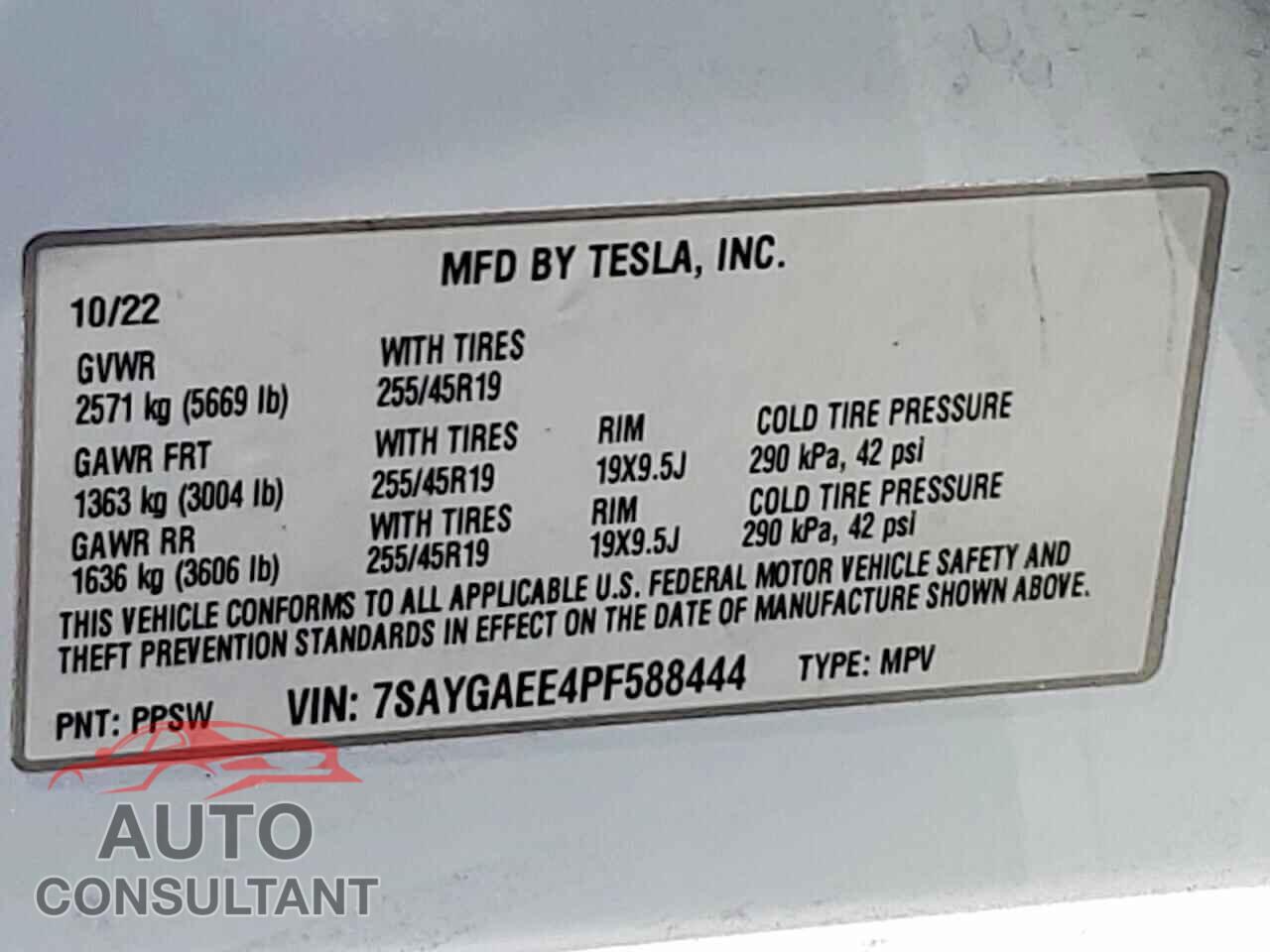 TESLA MODEL Y 2023 - 7SAYGAEE4PF588444