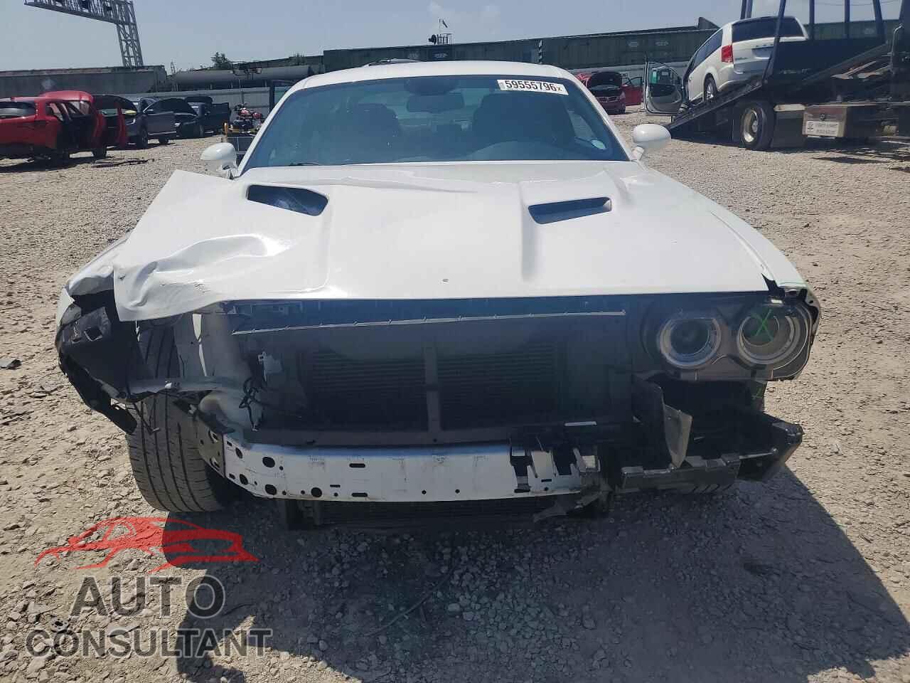 DODGE CHALLENGER 2019 - 2C3CDZAG2KH701773