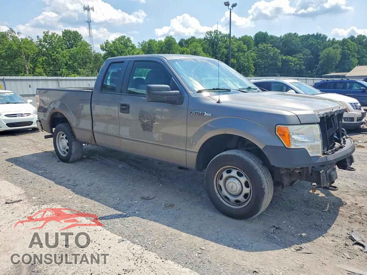 FORD F150 2011 - 1FTEX1EM1BFB25317