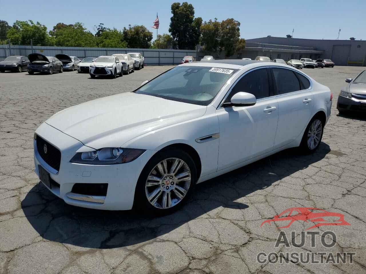 JAGUAR XF 2017 - SAJBD4BV5HCY49307