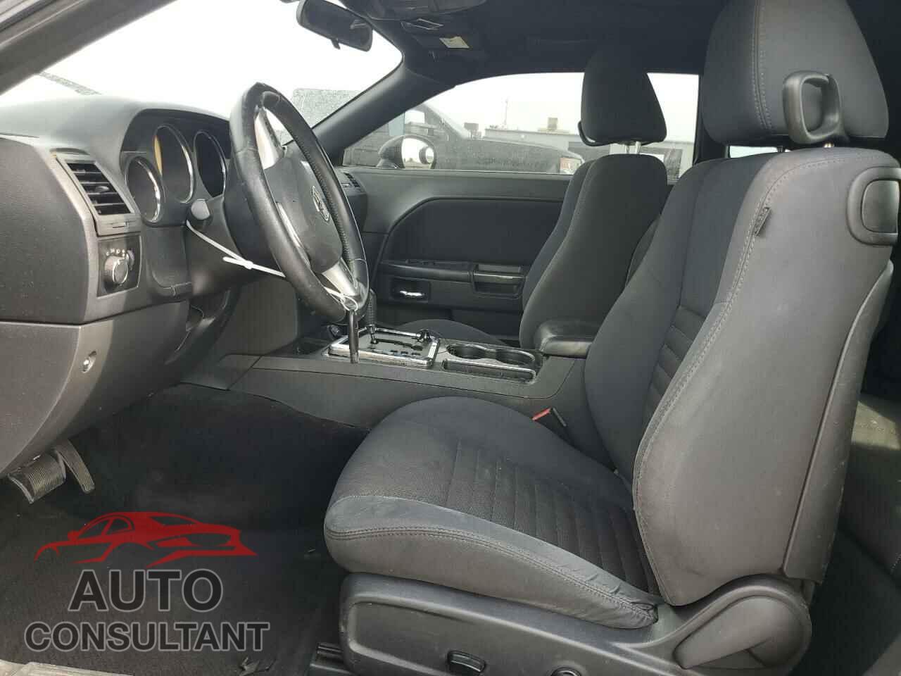 DODGE CHALLENGER 2013 - 2C3CDYAG3DH536233