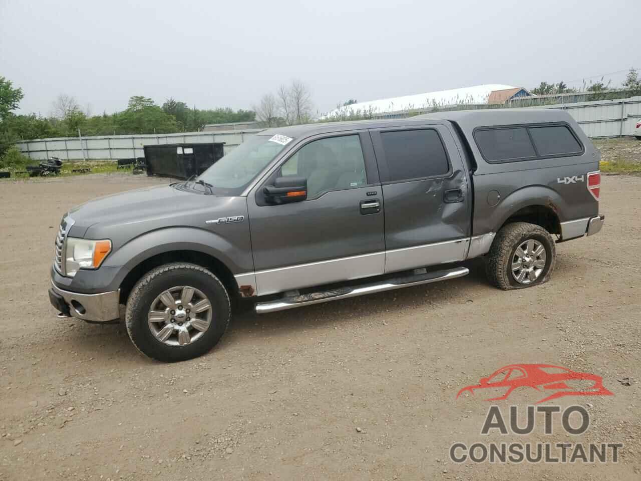 FORD F-150 2010 - 1FTFW1EV6AFA04538