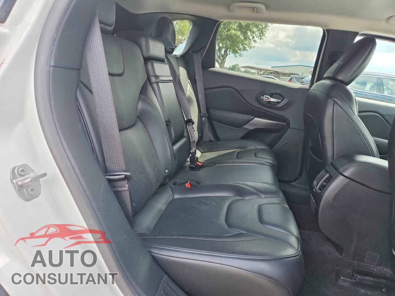 JEEP CHEROKEE 2019 - 1C4PJLDN8KD164384