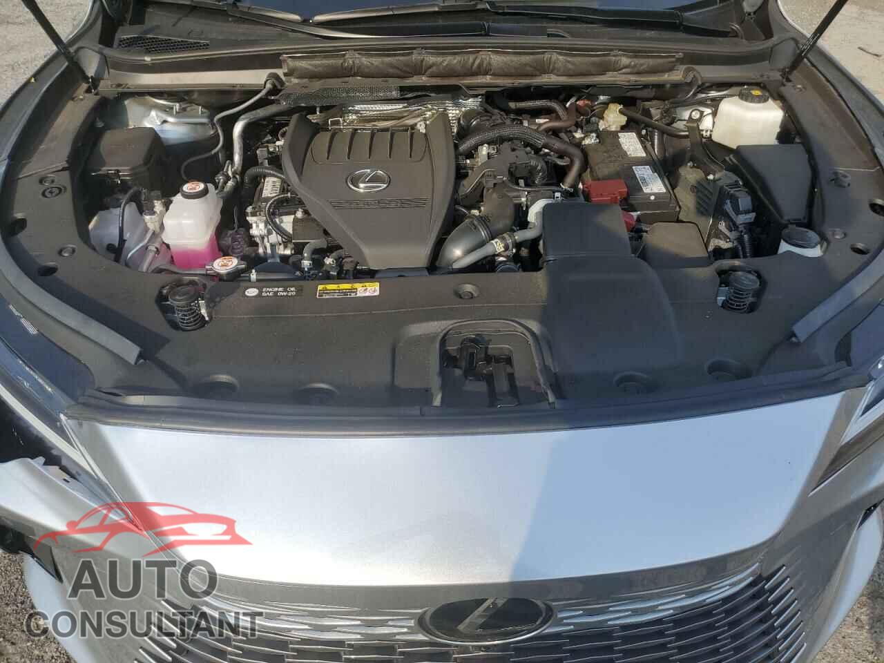 LEXUS RX350 2023 - 2T2BAMCA7PC009386