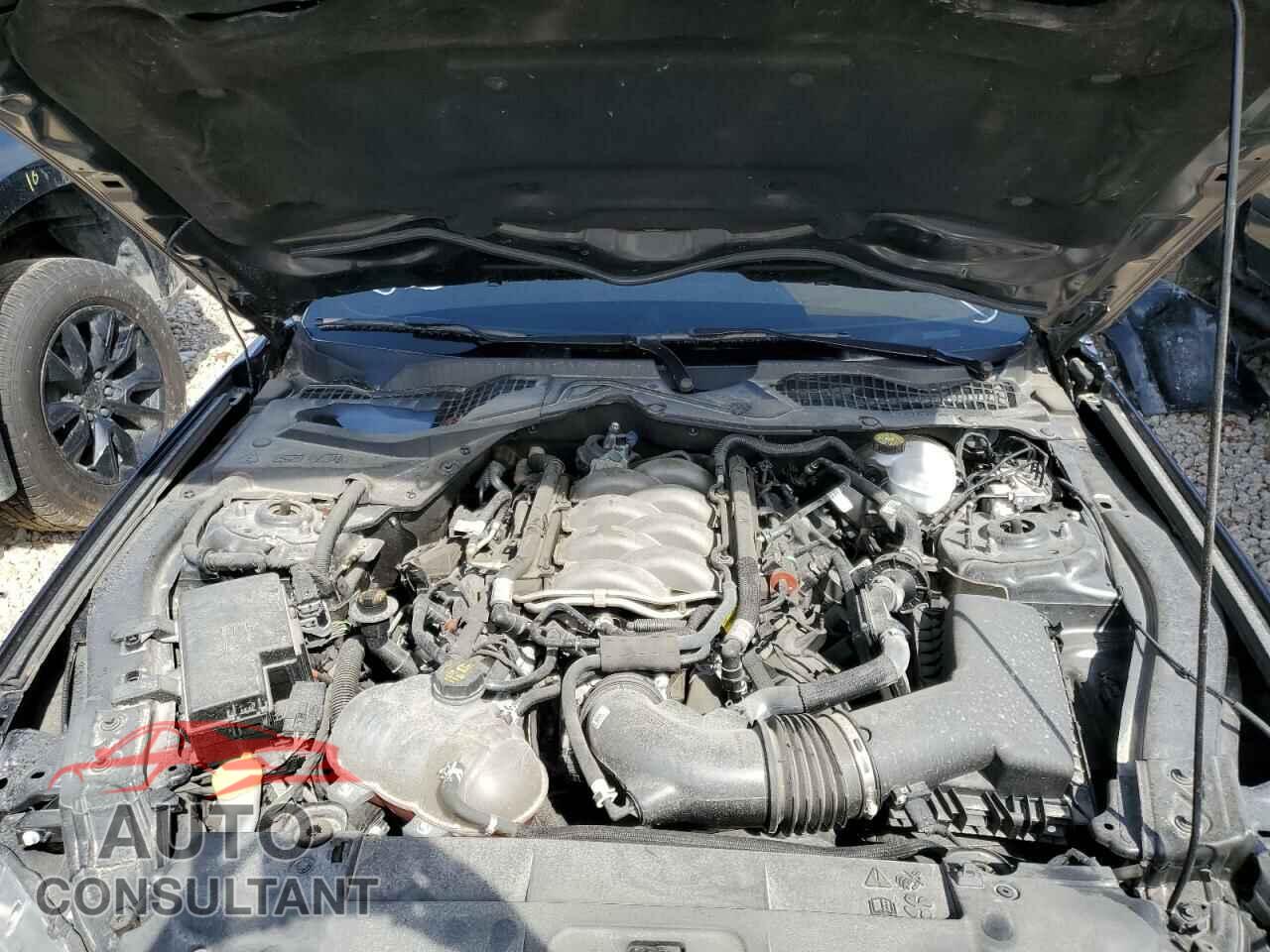 FORD MUSTANG 2018 - 1FA6P8CF7J5185372