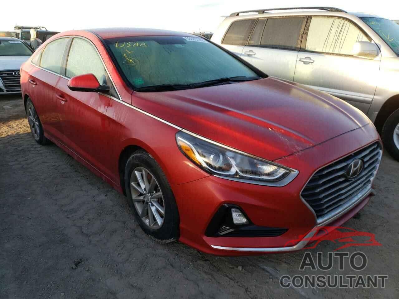 HYUNDAI SONATA 2019 - 5NPE24AF1KH759854
