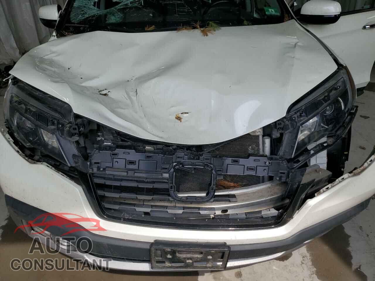 HONDA RIDGELINE 2018 - 5FPYK3F73JB017002