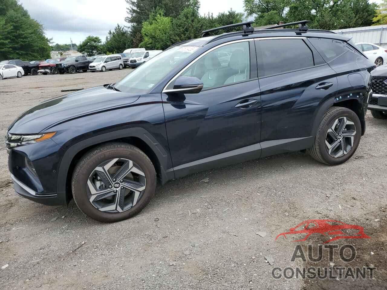 HYUNDAI TUCSON 2024 - KM8JECD12RU229498