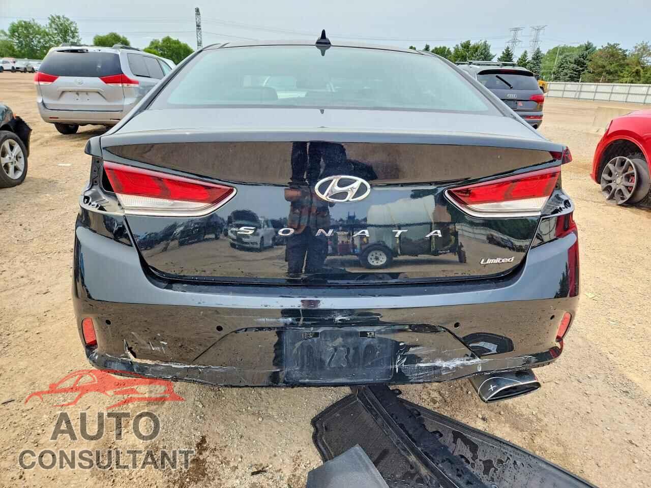 HYUNDAI SONATA 2019 - 5NPE34AF1KH758040