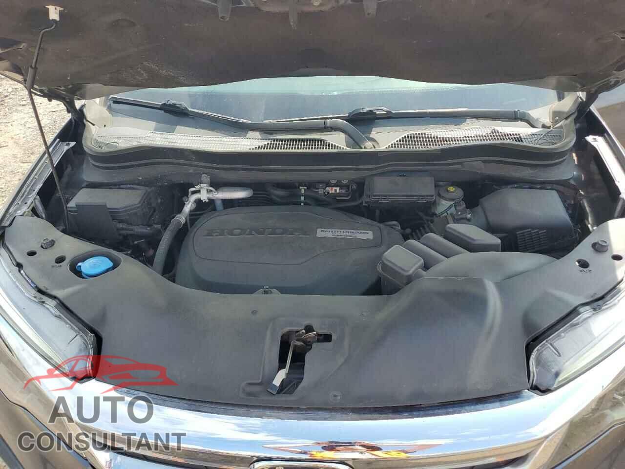 HONDA PILOT 2019 - 5FNYF6H33KB047529