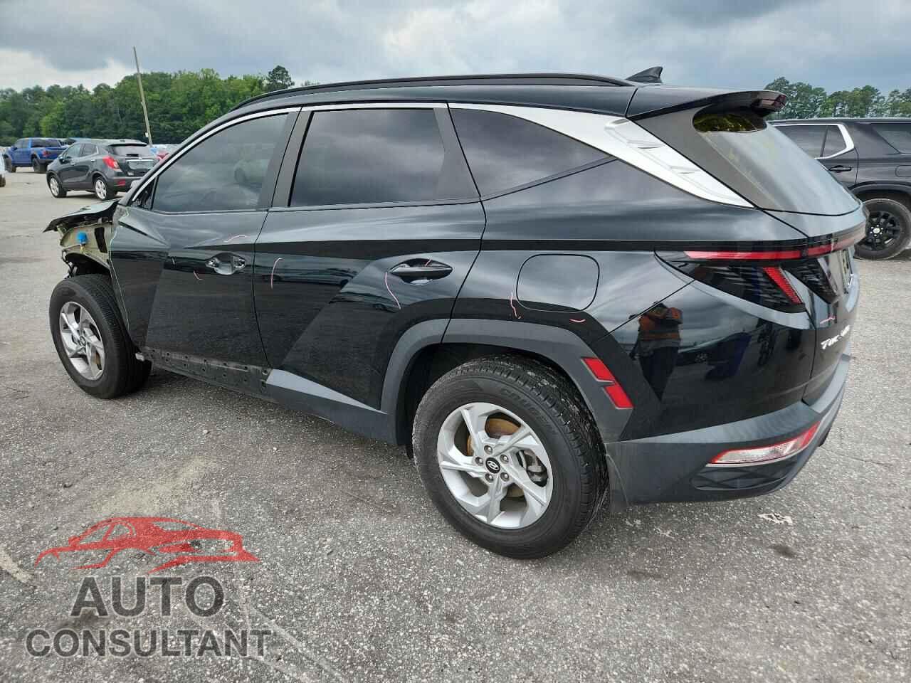 HYUNDAI TUCSON 2023 - 5NMJBCAEXPH164618