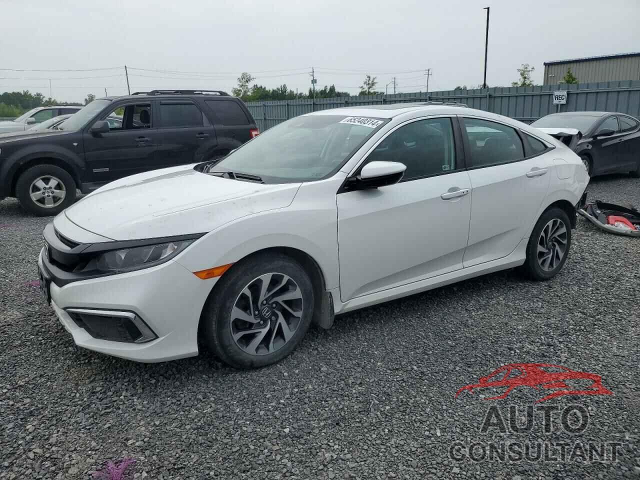 HONDA CIVIC 2019 - 2HGFC2F72KH038332