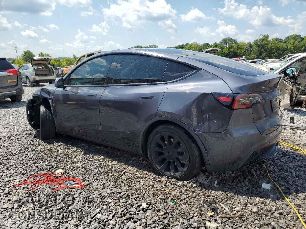 TESLA MODEL Y 2023 - 7SAYGAEE3PF805675