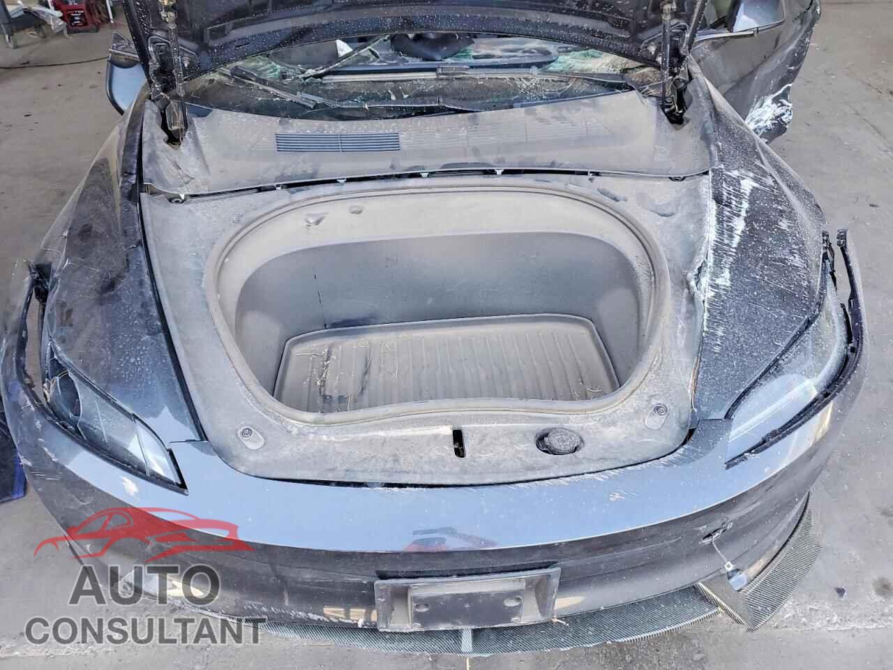 TESLA MODEL 3 2025 - 5YJ3E1EA1SF928166