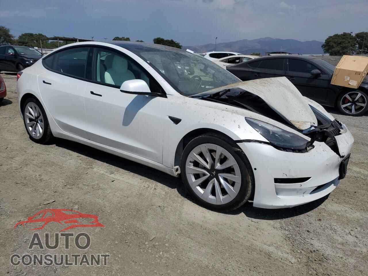TESLA MODEL 3 2021 - 5YJ3E1EB2MF975489