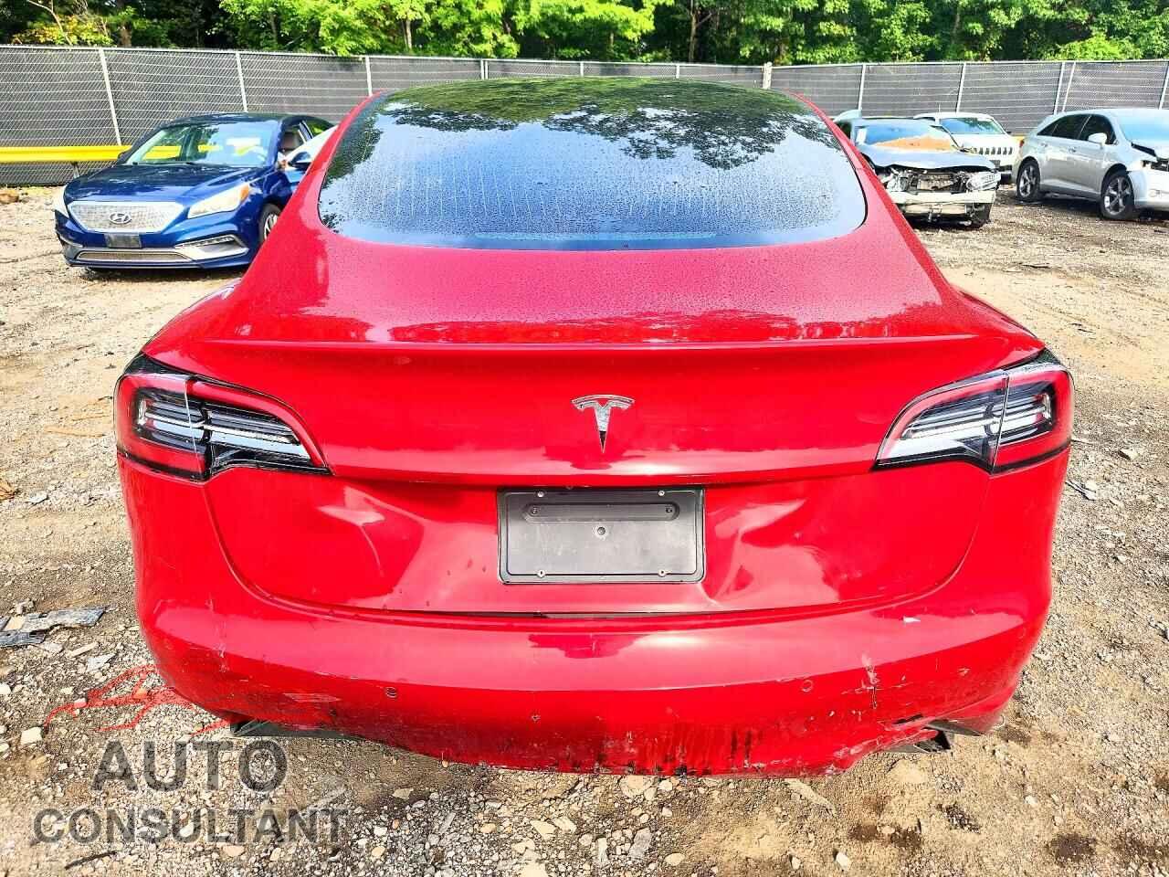 TESLA MODEL 3 2019 - 5YJ3E1EA5KF307108