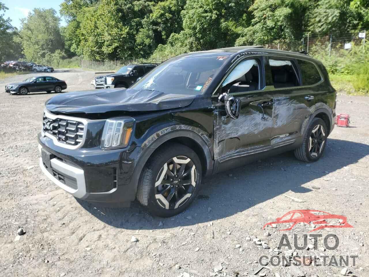 KIA TELLURIDE 2024 - 5XYP6DGC5RG467510