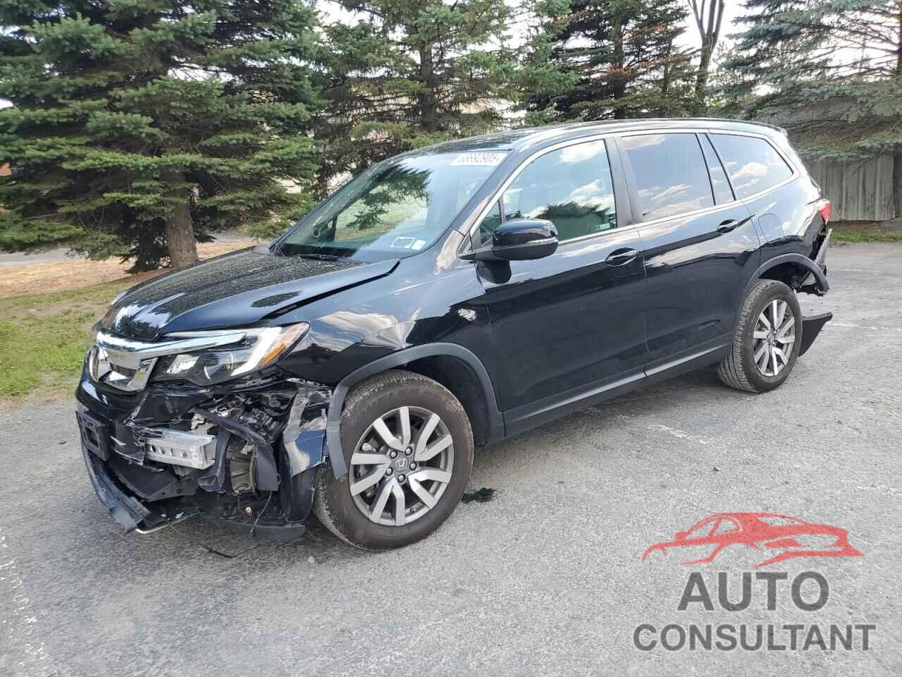 HONDA PILOT 2019 - 5FNYF6H57KB080227