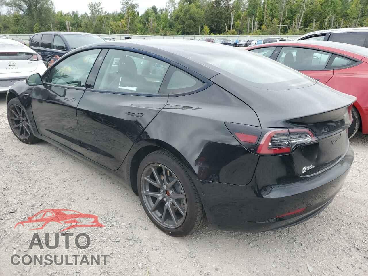 TESLA MODEL 3 2021 - 5YJ3E1EA8MF095145