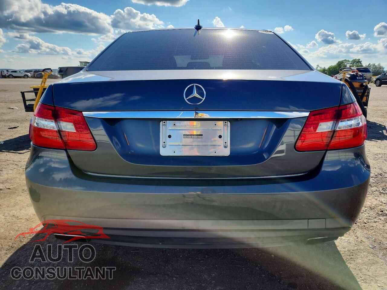 MERCEDES-BENZ E-CLASS 2010 - WDDHF7CB9AA072887
