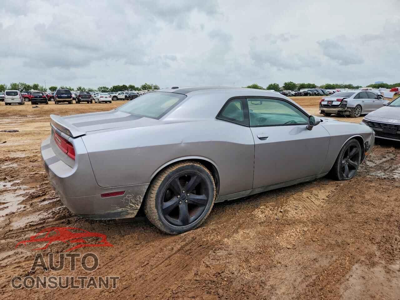 DODGE CHALLENGER 2013 - 2C3CDYBTXDH619489