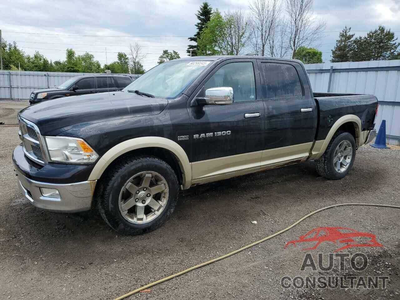 DODGE All Models 2011 - 1D7RV1CT7BS566061