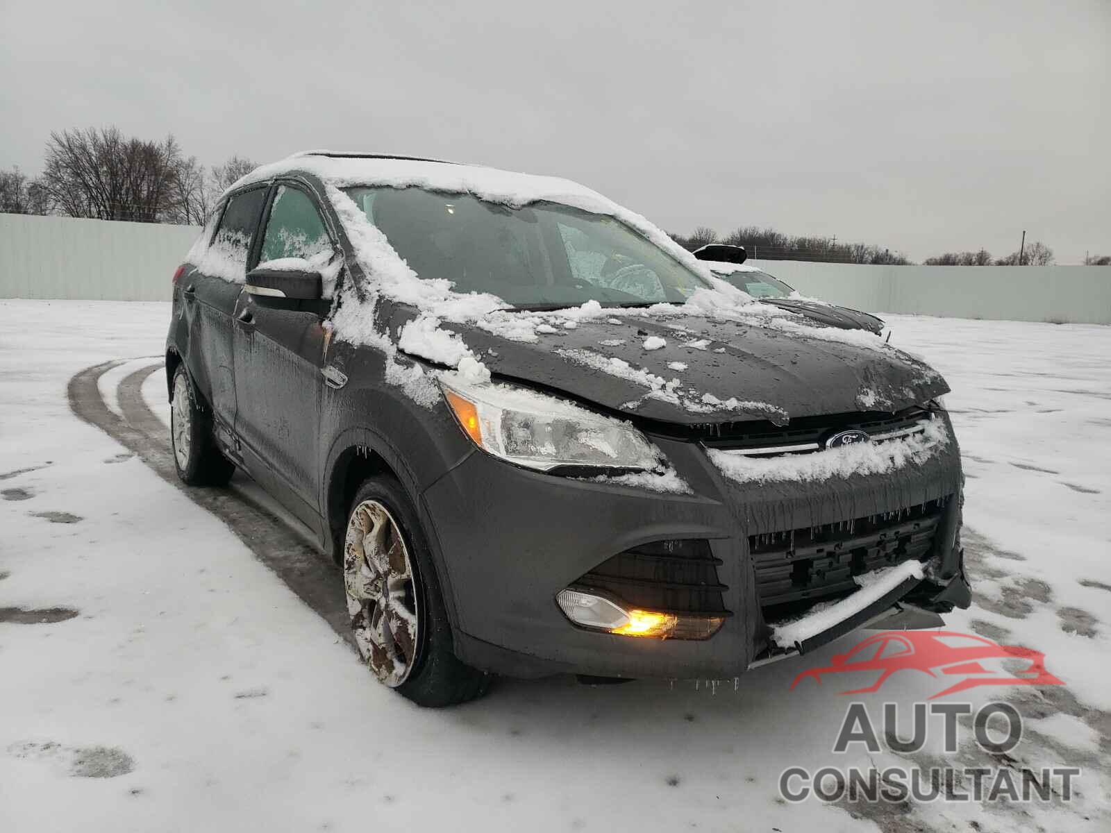 FORD ESCAPE 2016 - 1FMCU9JX9GUA88689