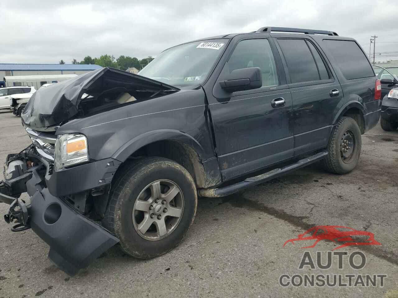FORD EXPEDITION 2010 - 1FMJU1G56AEB21065