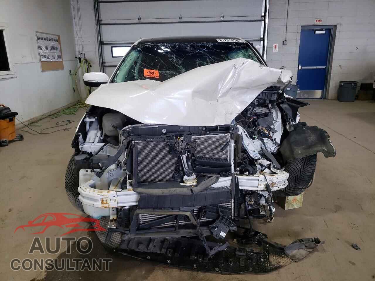 FORD EDGE 2019 - 2FMPK4K91KBC65230