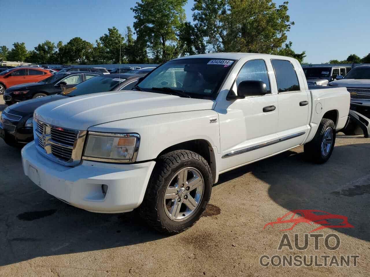 DODGE DAKOTA 2011 - 1D7RW5GP8BS589561