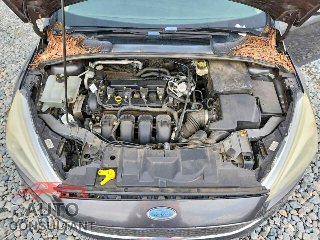 FORD FOCUS 2017 - 1FADP3F2XHL282302