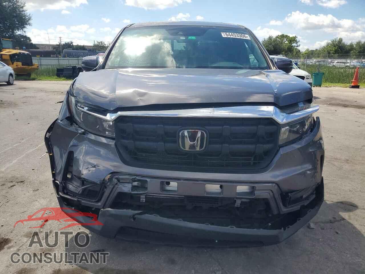 HONDA RIDGELINE 2024 - 5FPYK3F58RB015658