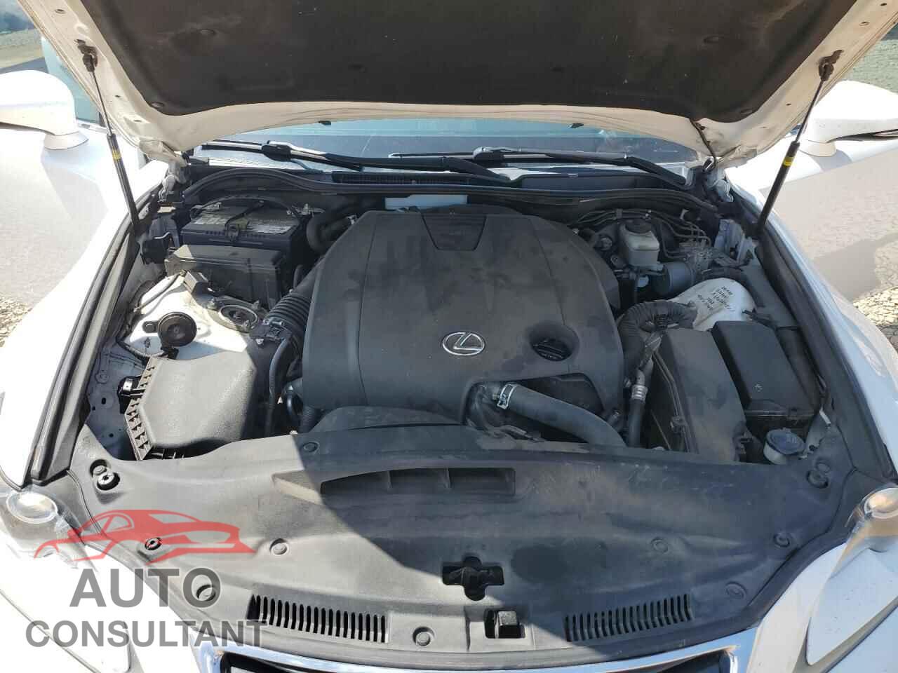 LEXUS IS 2015 - JTHBF1D23F5051091