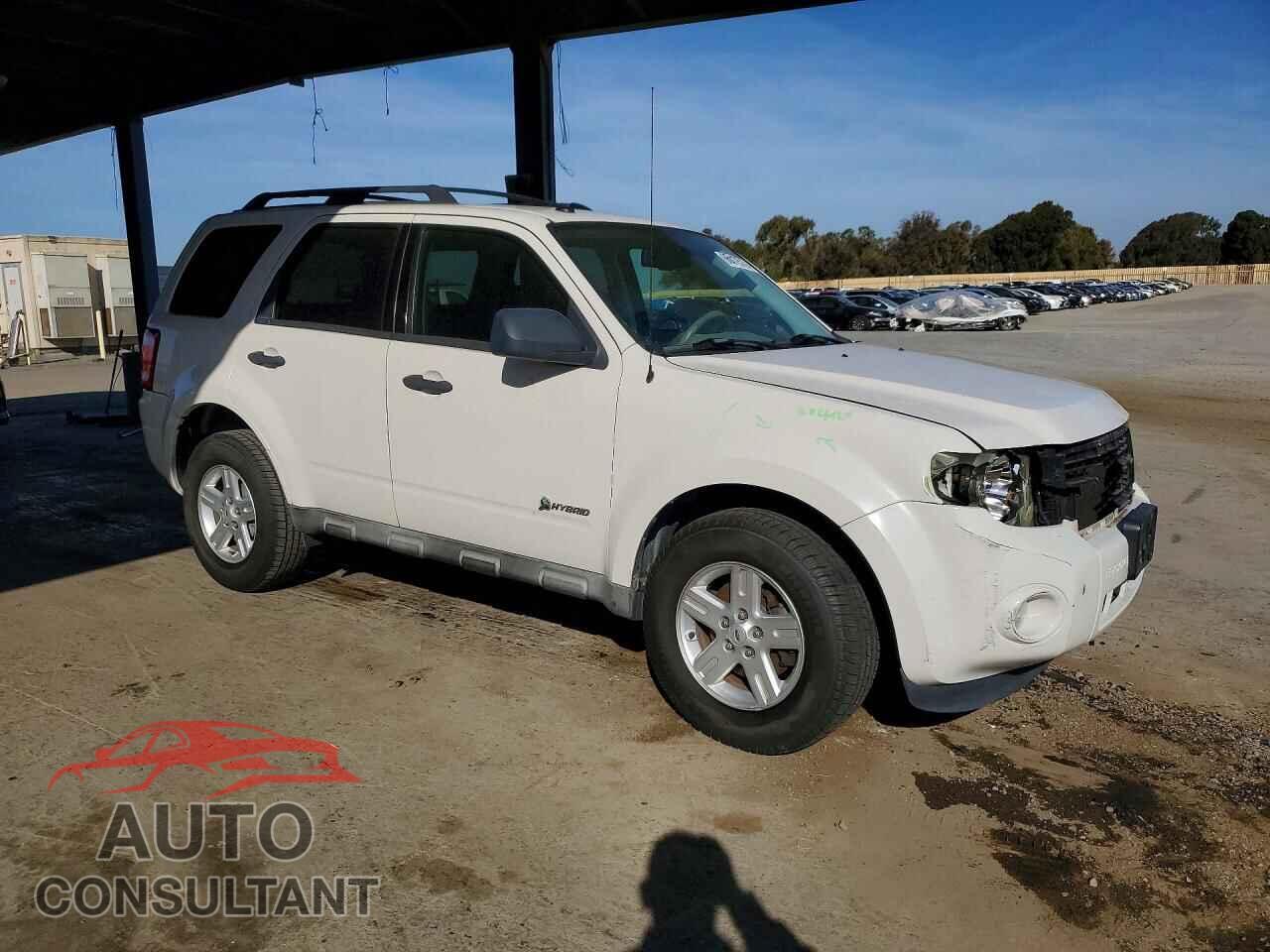 FORD ESCAPE 2010 - 1FMCU4K35AKB30261