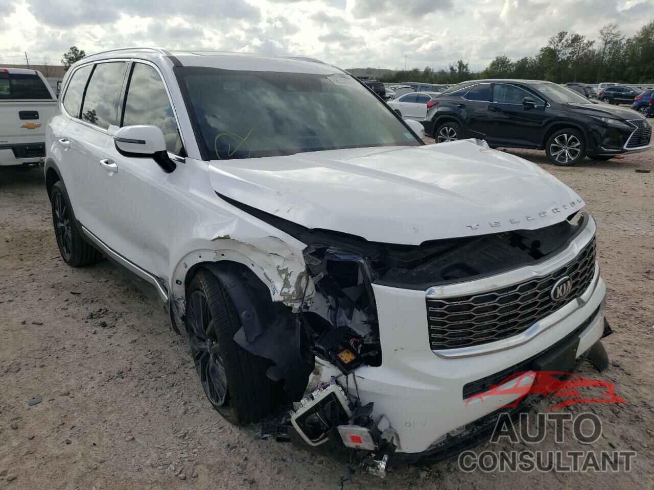 KIA TELLURIDE 2021 - 5XYP5DHC1MG142752